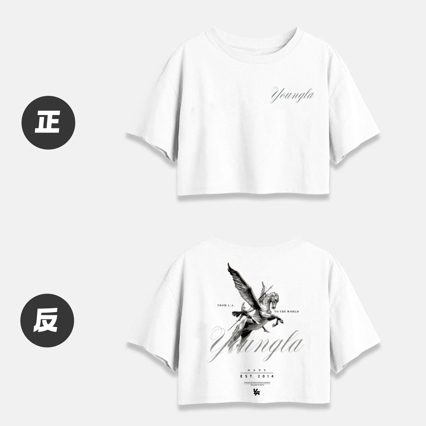 Crop Top Short Sleeve T Shirts