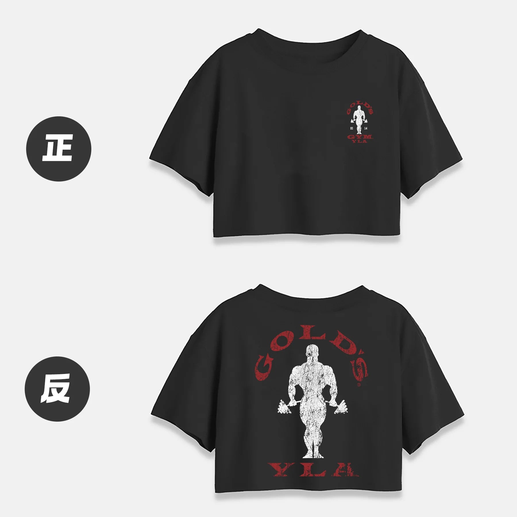 Crop Top Short Sleeve T Shirts